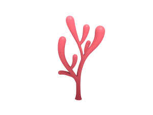 cartoon coral 3D Modell