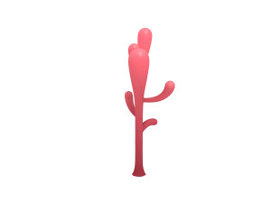 cartoon coral 3D Modell