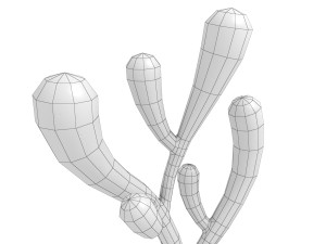 cartoon coral 3D Modell
