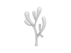 cartoon coral 3D Modell