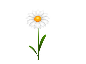 cartoon daisy 3D Model