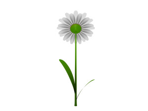cartoon daisy 3D Model