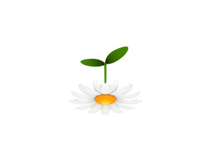 cartoon daisy 3D Model