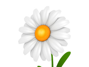 cartoon daisy 3D Model