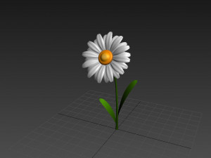 cartoon daisy 3D Model