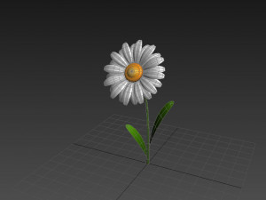 cartoon daisy 3D Model