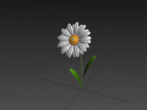 cartoon daisy 3D Model