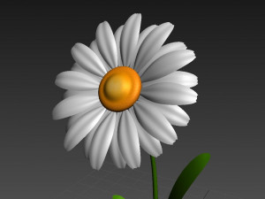 cartoon daisy 3D Model