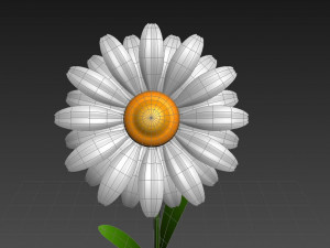 cartoon daisy 3D Model