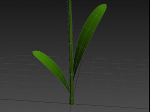 cartoon daisy 3D Model