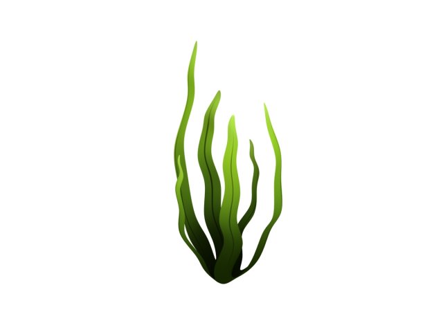 seaweed 3D Model .c4d .max .obj .3ds .fbx .stl .blend 