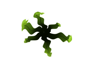 seaweed 3D Model
