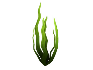 seaweed 3D Model