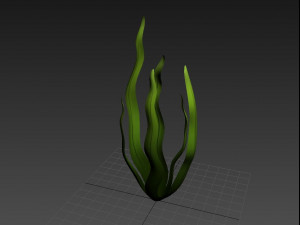 seaweed 3D Model