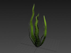 seaweed 3D Model