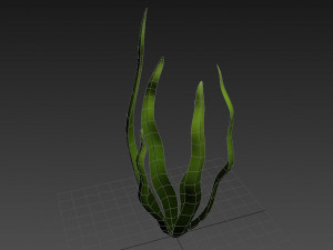 seaweed 3D Model