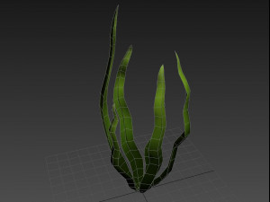 seaweed 3D Model
