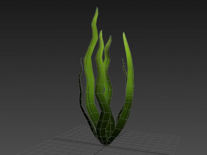 seaweed 3D Model