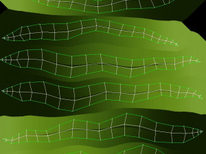 seaweed 3D Model