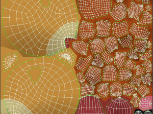 little lion 3D Модель