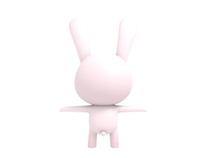rigged rabbit 3D Модель