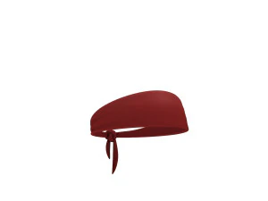 headband 3D Model