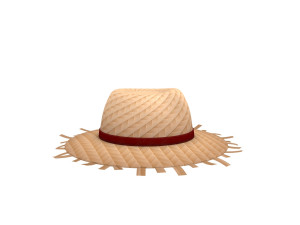 straw hat Modelo 3D