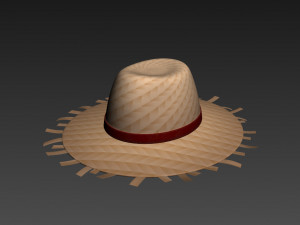 straw hat Modelo 3D