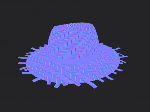 straw hat Modelo 3D