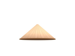 conical hat Model 3D