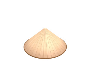 conical hat Model 3D