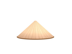 conical hat Model 3D