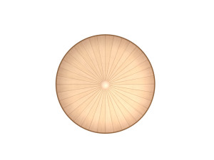 conical hat Model 3D