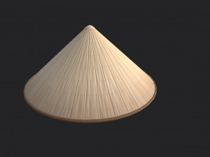 conical hat Model 3D
