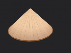 conical hat Model 3D