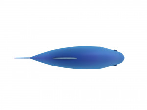 fish 3D Model