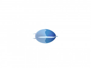 fish 3D Model