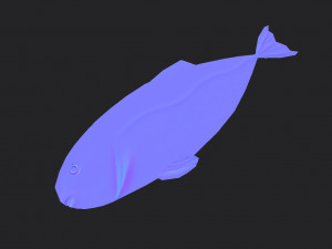 fish 3D Model