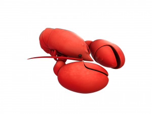lobster 3D Model