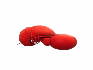 lobster 3D Model