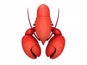 lobster 3D Model