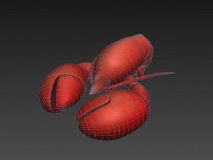 lobster 3D Model
