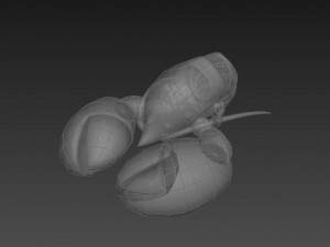 lobster 3D Model