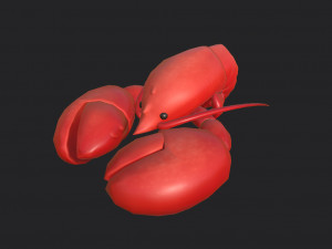 lobster 3D Model