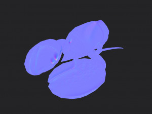 lobster 3D Model