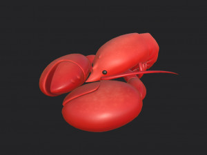 lobster 3D Model