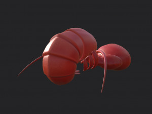 lobster 3D Model