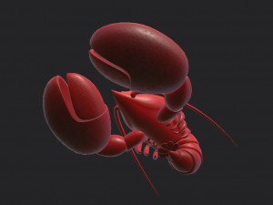 lobster 3D Model