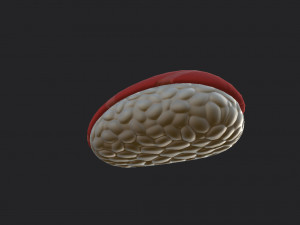 cartoon sushi Modelo 3D