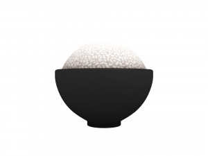 3d rice bowl Modelo 3D